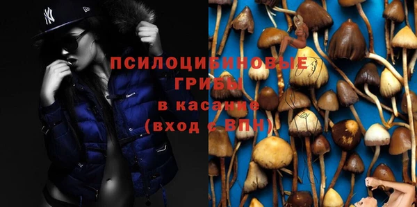 гидропоника Ростов