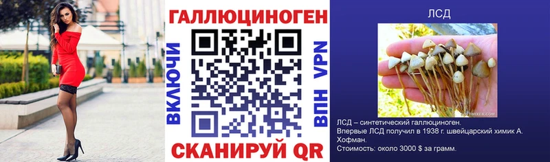 купить наркотик  Афипский  Псилоцибиновые грибы Psilocybine cubensis 
